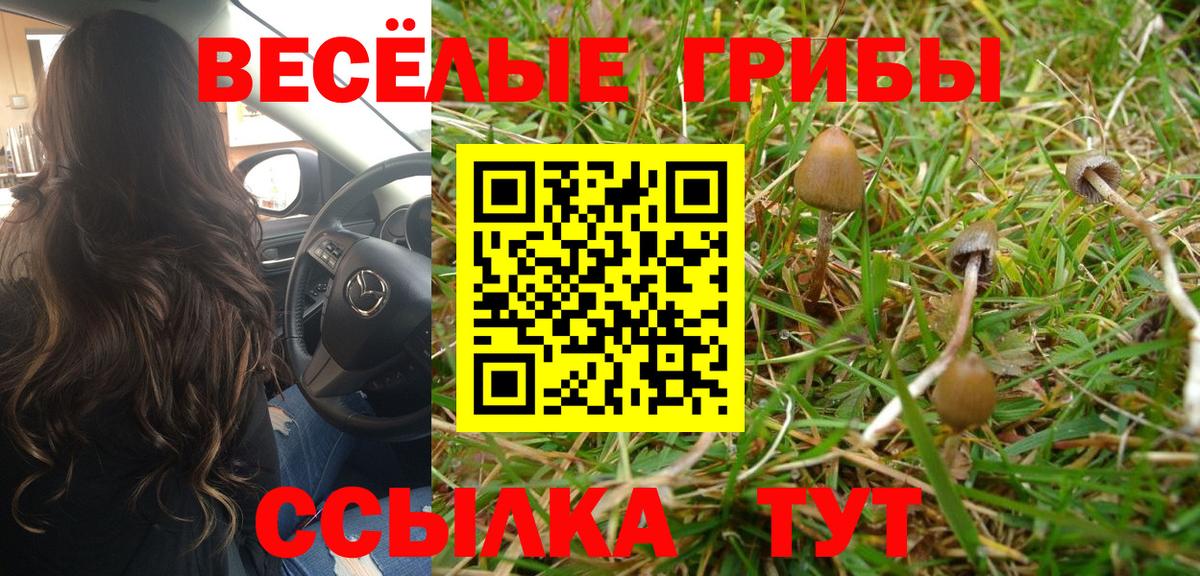 Галлюциногенные грибы Cubensis Стрежевой