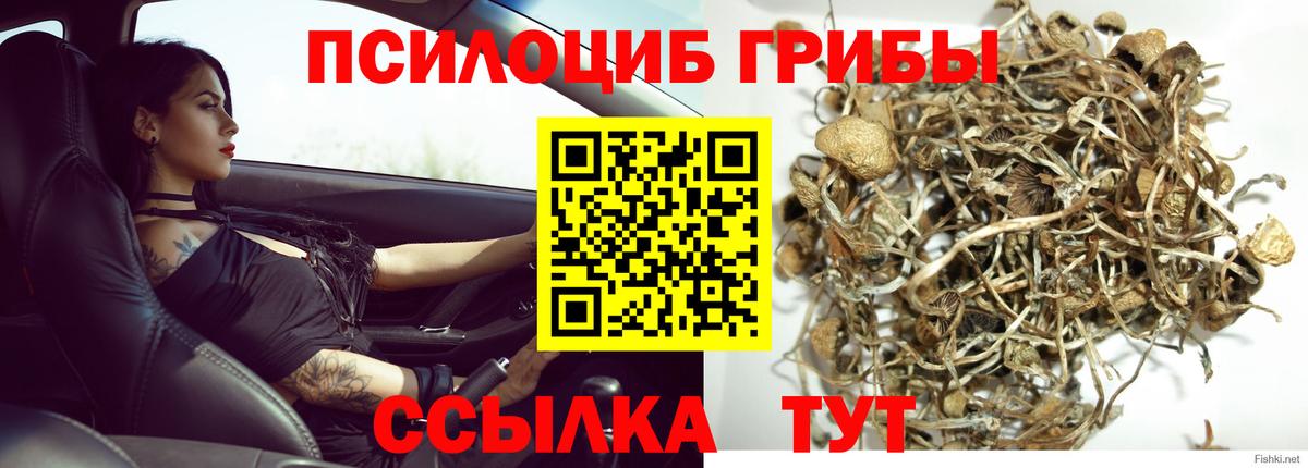 Псилоцибиновые грибы GOLDEN TEACHER  Псилоцибиновые грибы Magic Shrooms  Вход с VPN  Стрежевой 