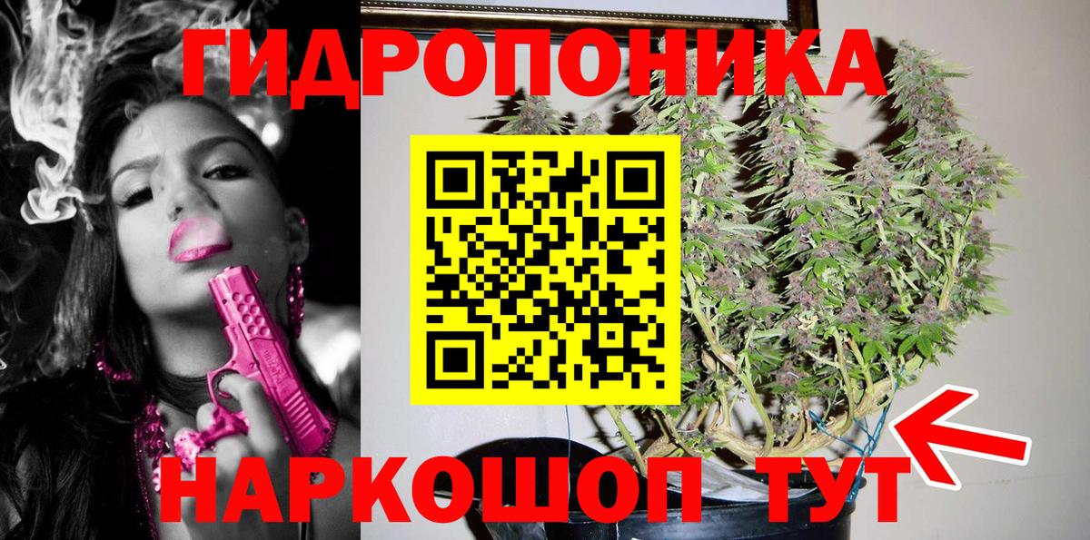 МАРИХУАНА семена Стрежевой
